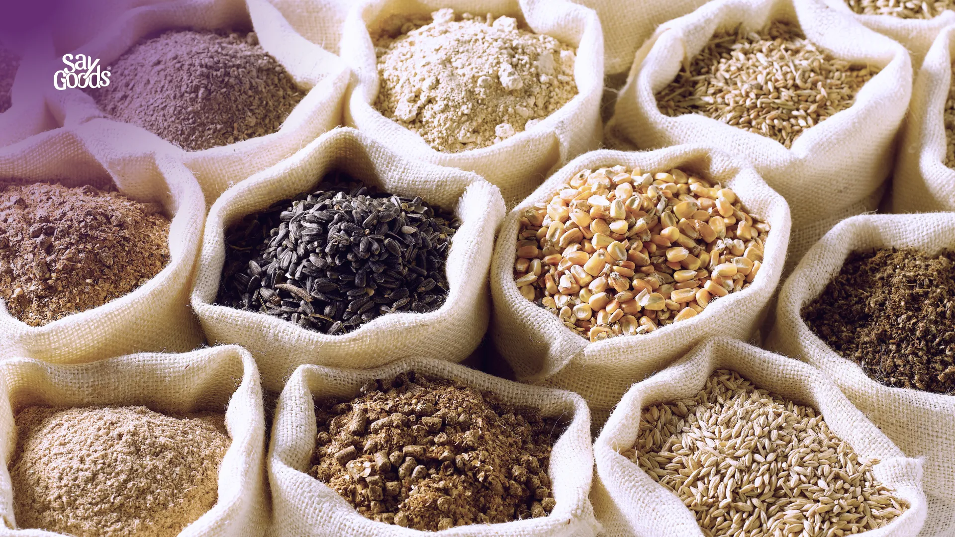 apa itu multigrain